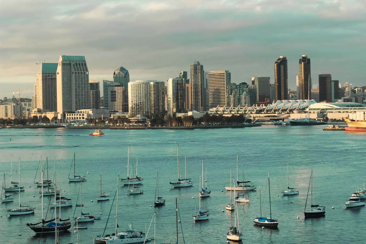 Sailboats in San Diego Bay with the downtown skyline behind